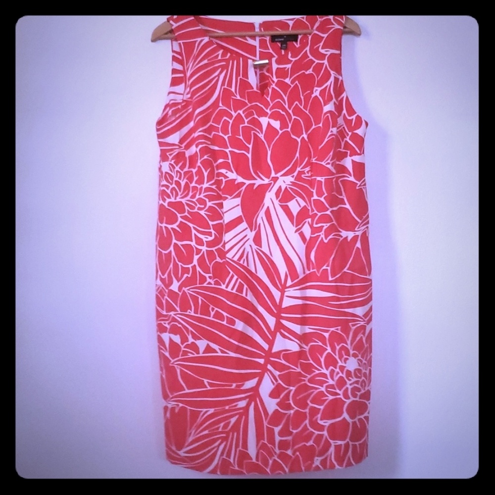 Ronni Nicole Dress White / Coral